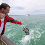 Iz morskih travnikov odstranili več kot eno tono smeti (FOTO) 10 S podvodnim dronom so bile vidne morske trave Large