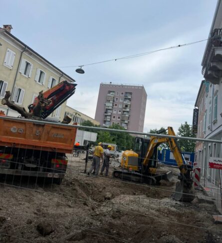 drevesa muzejski trg