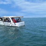 Iz morskih travnikov odstranili več kot eno tono smeti (FOTO) 12 Zavod YouSea je obiskovalce odpeljal na ogled morskih travnikov Large