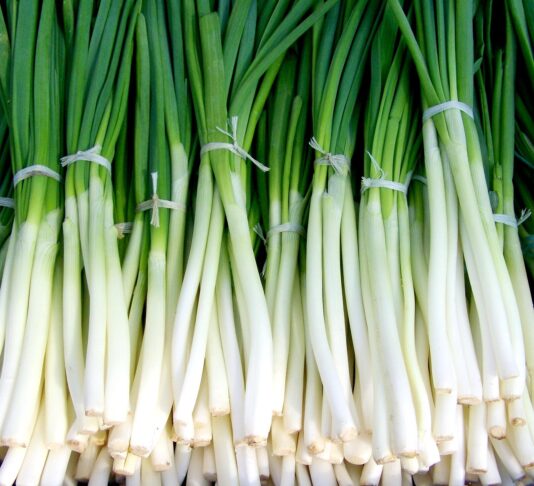 green onion 699943 1280