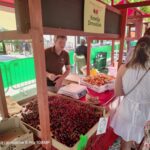 Ta konec tedna so glavne češnje: 59. praznik češenj (foto/video) 8 42f091de 027a 4f1d b969 35389f6e9116