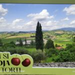 Ta konec tedna so glavne češnje: 59. praznik češenj (foto/video) 2 59502055 37bb 4297 a898 319b47d192f2