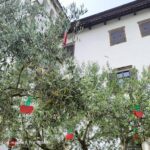 Ta konec tedna so glavne češnje: 59. praznik češenj (foto/video) 19 a3fb1b1d e65d 4083 856a d68110a7cec9