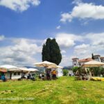 Ta konec tedna so glavne češnje: 59. praznik češenj (foto/video) 9 abddb409 1fdf 41e9 b783 f93aa29c9fbd