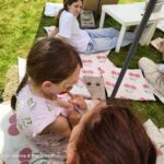 Ta konec tedna so glavne češnje: 59. praznik češenj (foto/video) 10 f8e8f999 fdd2 4533 8e9c c0325c9d0c99