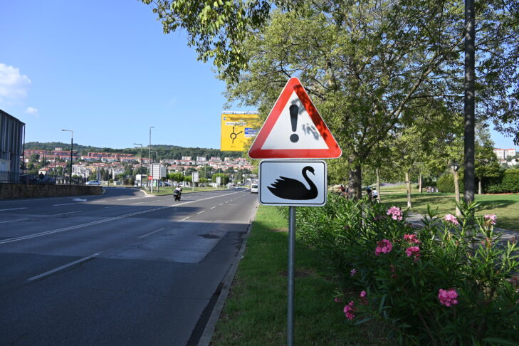znak labodi