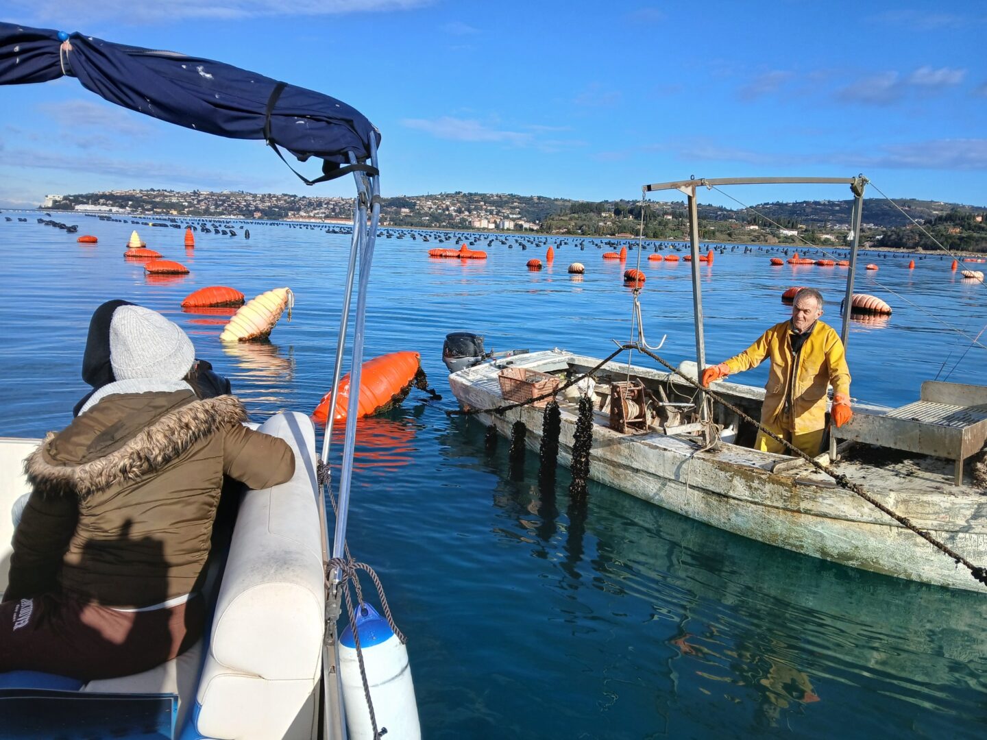 2025 01 15 TEMAFORADRIS sampling photo 2