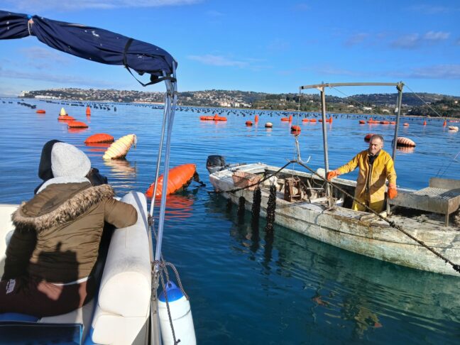 2025 01 15 TEMAFORADRIS sampling photo 2