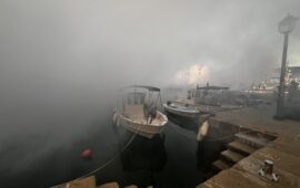 IMG 3798