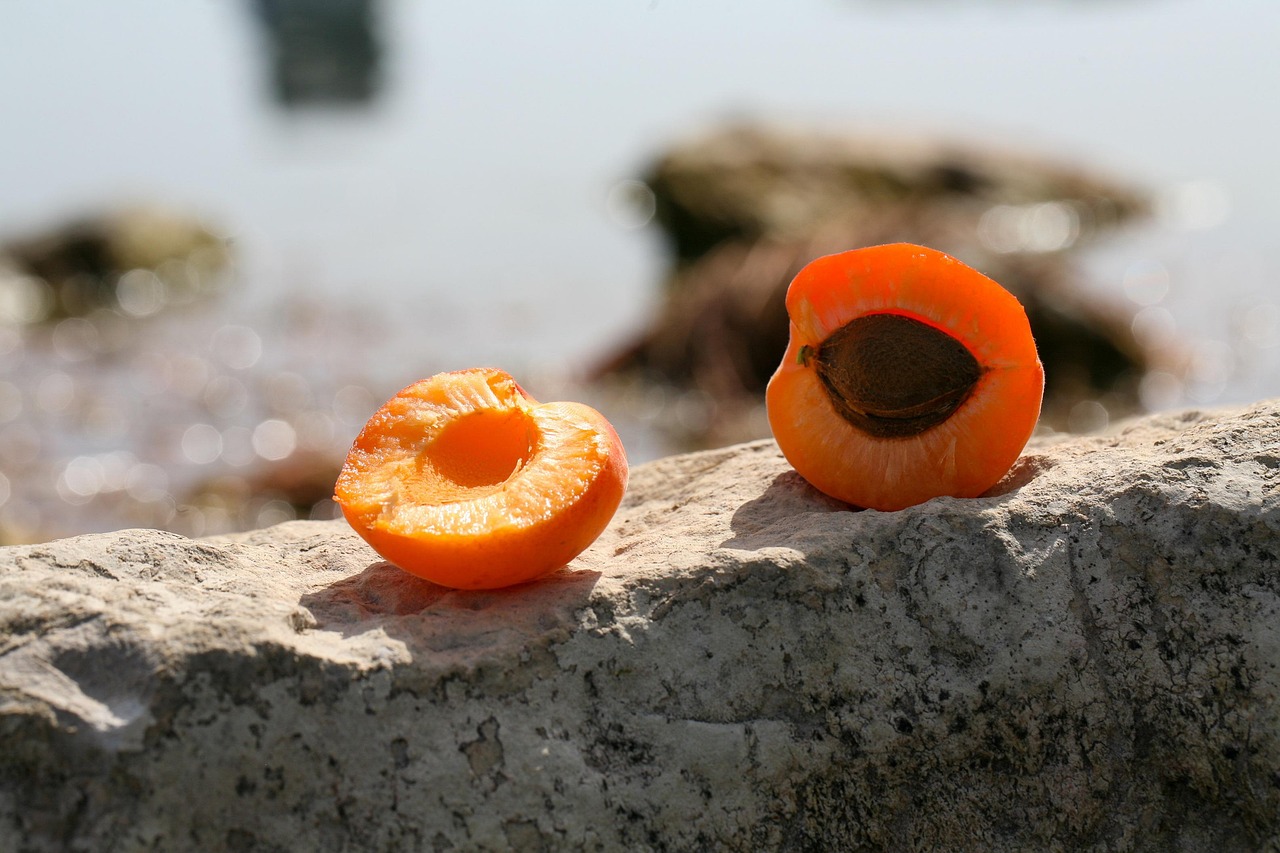 apricot 7420815 1280