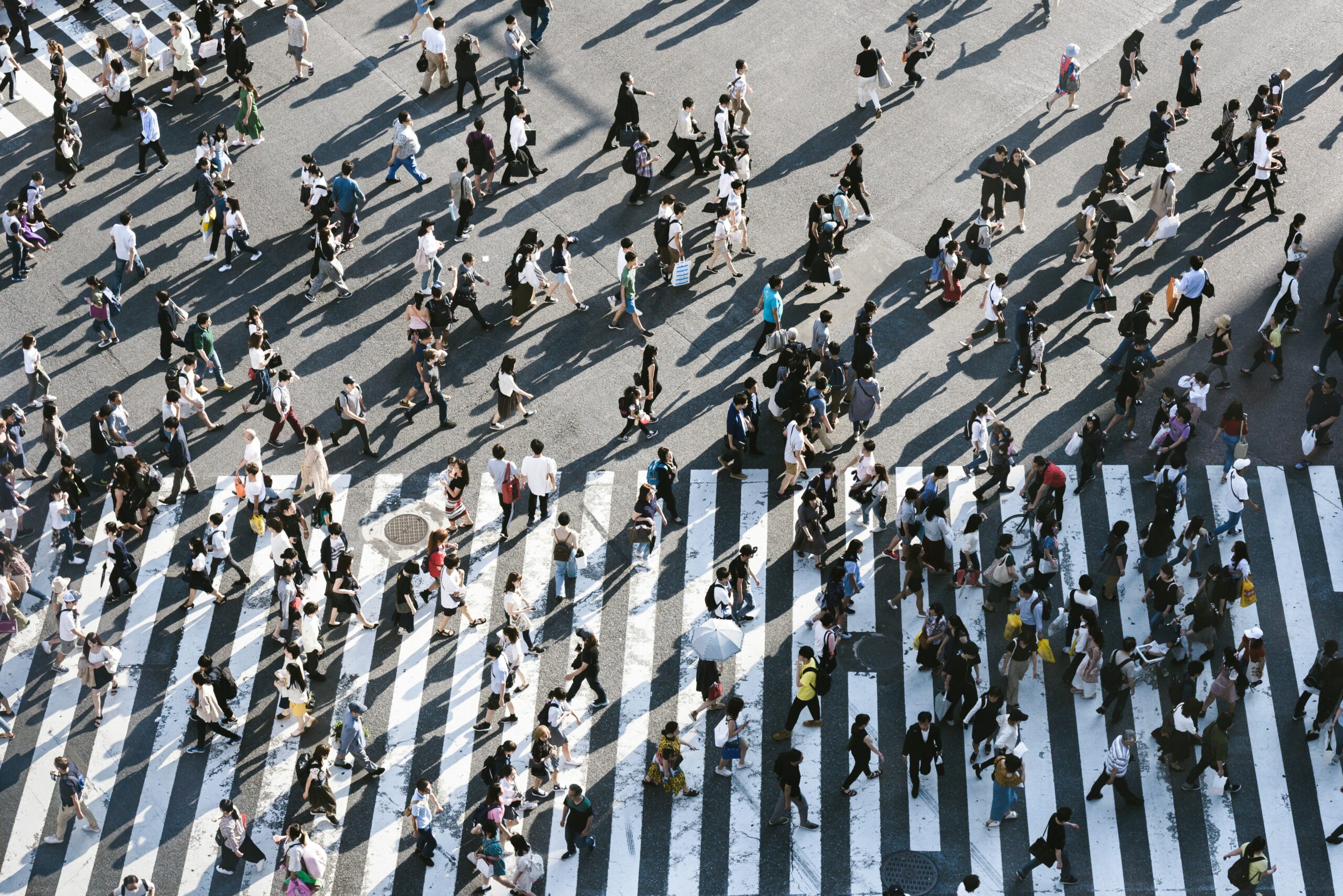ryoji iwata IBaVuZsJJTo unsplash scaled