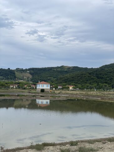 4 ideje kam na tek v Slovenski Istri 9 Strunjan