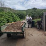 V Dekanih sanirajo posledice neurja, pouk v šoli bo 7 Dekani