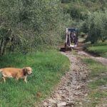 V Dekanih sanirajo posledice neurja, pouk v šoli bo 8 IMG 8044