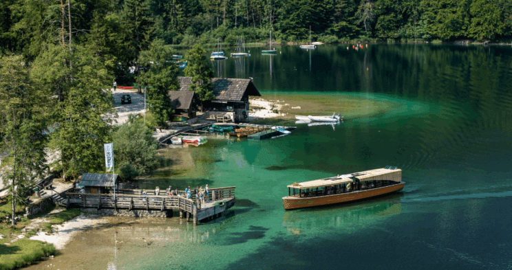 Znani rezultati obdukcije psičke, ki je poginila po kopanju v Bohinjskem jezeru 2 bohinjsko jezero