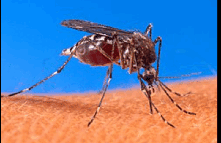 Na tisoče okuženih: Ukrepi kot v času korone 2 okužen