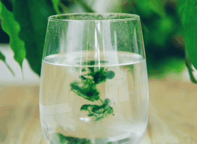 Klorofil in kolagen: Ali znanost podpira prehranske dodatke na družbenih omrežjih? 3 klorofil