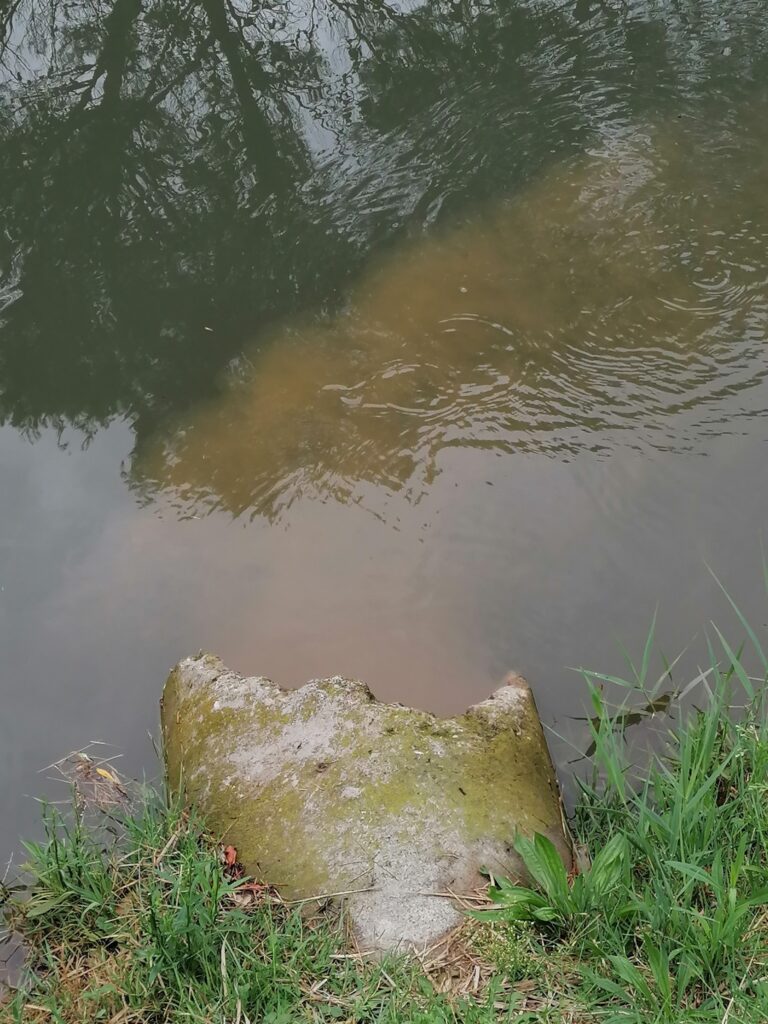 Ali izlivanje pri Bonifiki ogroža okolje in ljudi? 2 meteorne vode pri Bonifiki