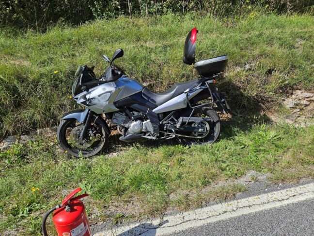 Nad Kozino prišlo do nesreče: motorist trčil v srno 2 549261856 1222356653262471 5527278765867294796 n