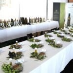 Primorski oljkarji med Brusljem in Ljubljano (FOTO) 6 5F3A8971