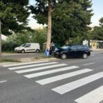 zaletela se je v drevo