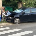 zaletela se je v drevo