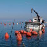 Druga podvodna skulptura na dnu piranskega morja (FOTO) 3 Morska oaza Cladocora YouSea Bauhaus avtor Gorazd Sinik 2