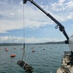 Druga podvodna skulptura na dnu piranskega morja (FOTO) 4 Morska oaza Cladocora YouSea Bauhaus avtor Petra Rebec 8