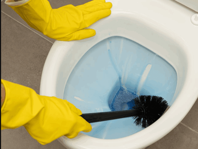 Kako in kdaj morate resnično očistiti straniščno školjko 2 školjka