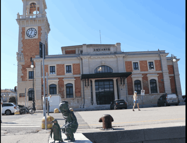 V Trstu ovekovečili spomin na čudovito zgodbo pingvina Marca (foto) 3 pingvin