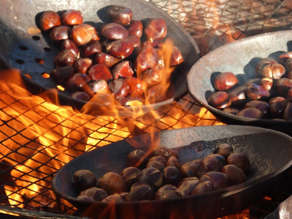 Koliko stane utica za kostanj v Kopru? 3 kostanj stojnice koper razpis izklicna cena