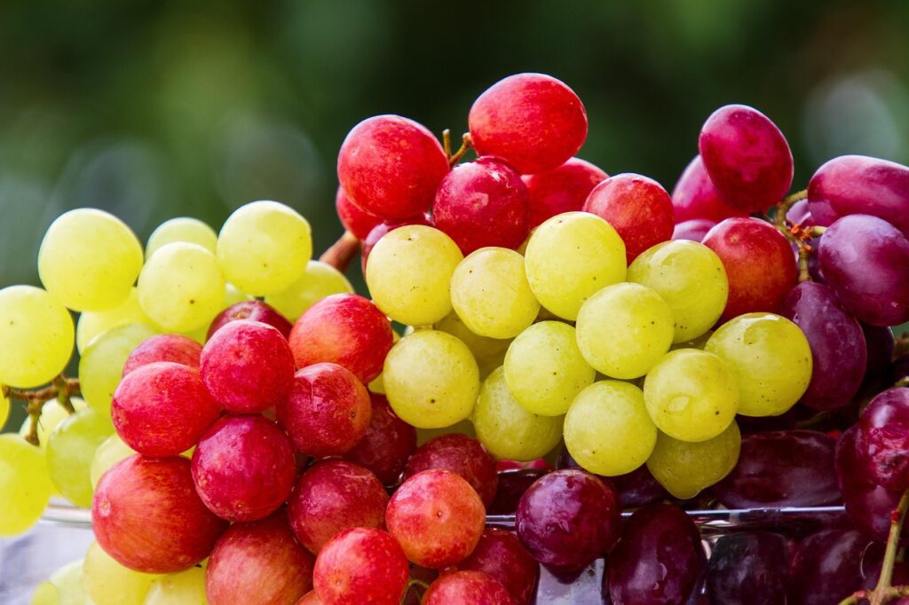 Sladek spomin na poletje - kompot iz grozdja 6 grapes 5889697 1280