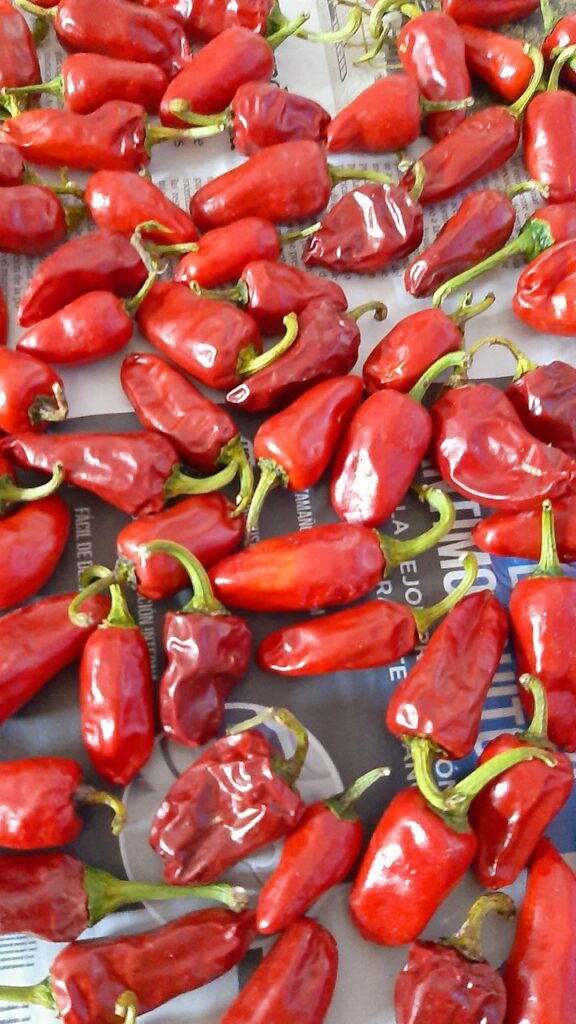 Trik, s katerim se bodo pečene paprike olupile kar same! 2 paprika