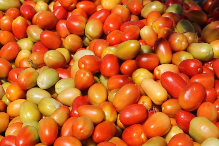 Domača paradižnikova mezga – skrivnost okusne kuhinje 3 tomato 299277 1280
