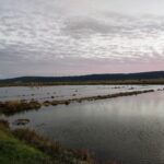 3bf8d1ed 4adb 41a2 9fcc 5486e528d58f