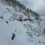 559671752 17933441472097660 6035195519577034703 n