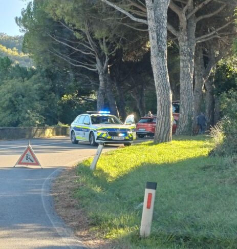 559998280 10238653529218016 4489254643142187281 n e1760111127938