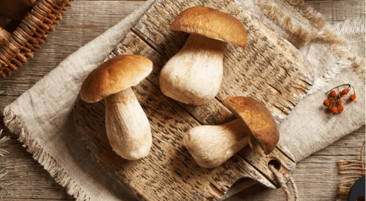 6 gozdnih sadežev, ki znižujejo sladkor, pomagajo spati in ščitijo plodnost 2 gozd