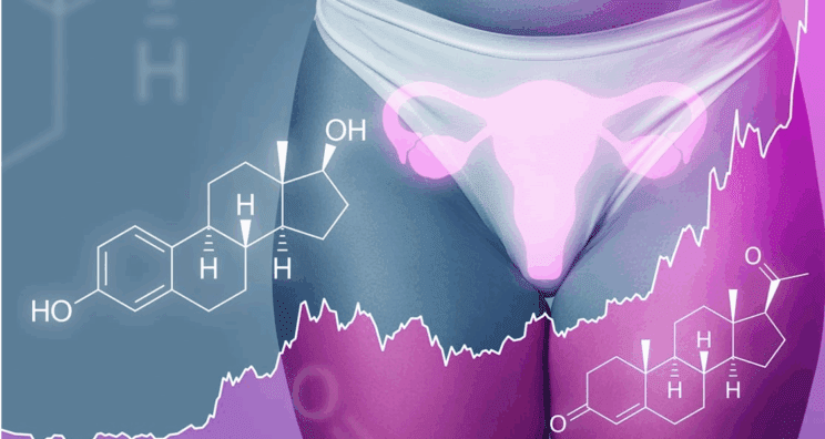 Estrogen in progesteron: Kaj mora vsaka ženska vedeti o teh dveh hormonih? 1 estrogen