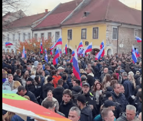 Novo mesto je vstalo: Dovolj je! (video) 1 dovolj je