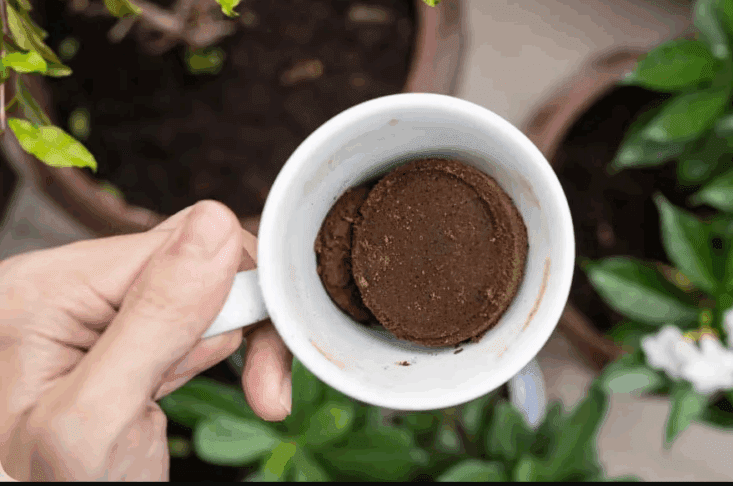 Kam s kavno usedlino? Zlivanje v odtok ni dobra zamisel 1 kavna usedlina