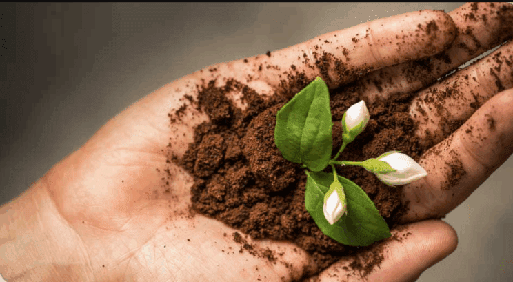 Kam s kavno usedlino? Zlivanje v odtok ni dobra zamisel 2 kavna usedlina