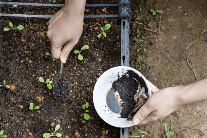 Kam s kavno usedlino? Zlivanje v odtok ni dobra zamisel 3 kavna usedlina