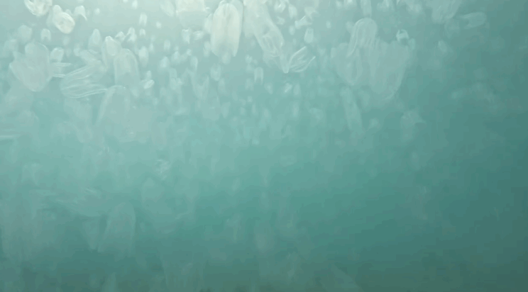 Screenshot 2025 10 08 at 10.26.44
