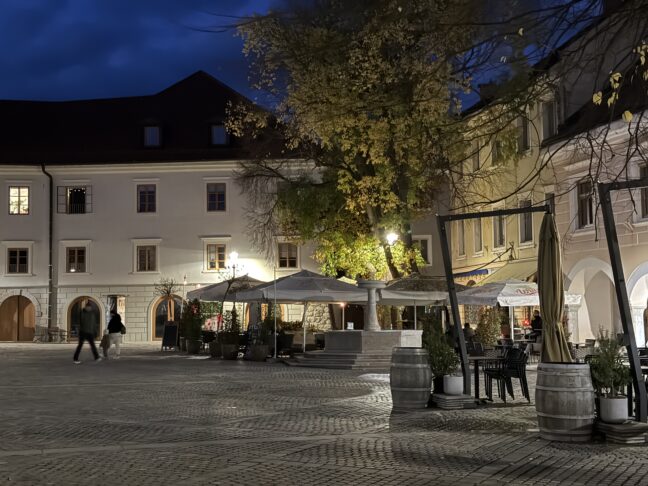 Kako izgleda Novo mesto 2 dni po tragediji (foto in video) 5 image00001