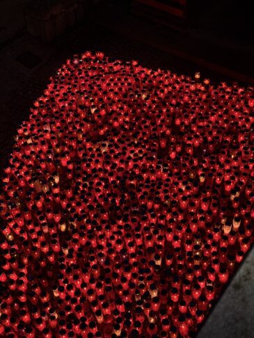 Kako izgleda Novo mesto 2 dni po tragediji (foto in video) 3 image00006