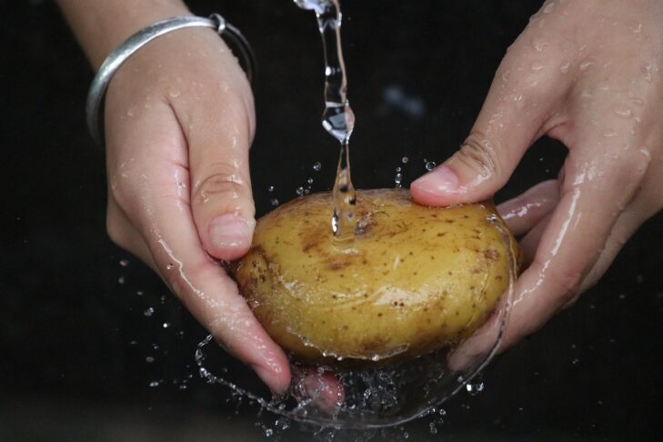 potato 2469750 1280