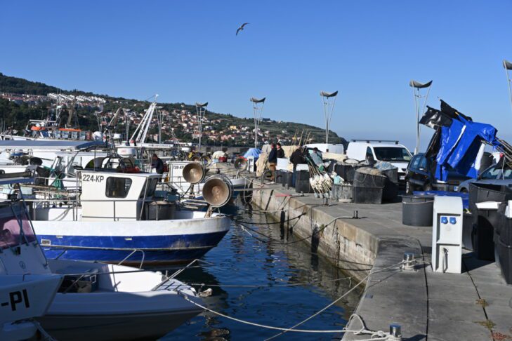 Na 4 koprskih šolah program z nižjim izobrazbenim standardom 2 program