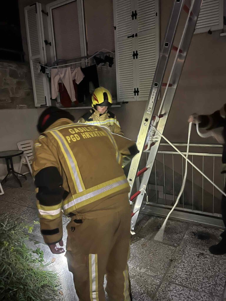 V Kopru odstranili 14 gnezd orientalskega sršena (FOTO) 6 sršen