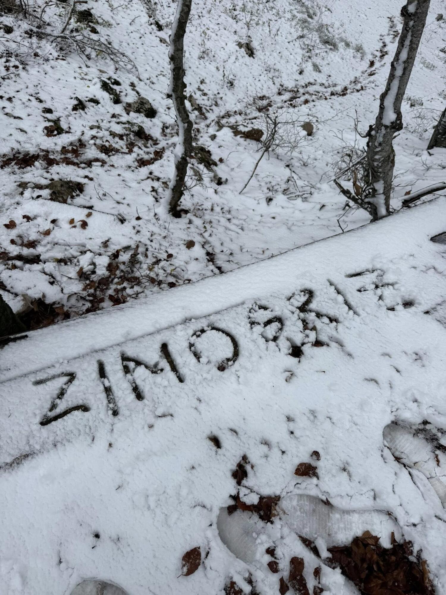 Istrska Učka pod belo odejo (FOTO) 2 585534858 1248946813930361 5348443869382321610 n